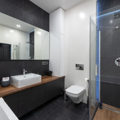 salle de bain moderne et design